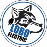 Lobo ConsultingInc Profile Picture