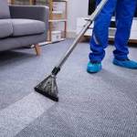 Carpet Cleaning Services for Removing Food and Beverage Stai Paolucci Profile Picture