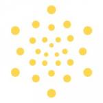 Shine bright Profile Picture